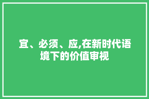 宜、必须、应,在新时代语境下的价值审视