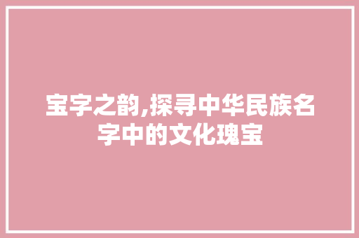 宝字之韵,探寻中华民族名字中的文化瑰宝