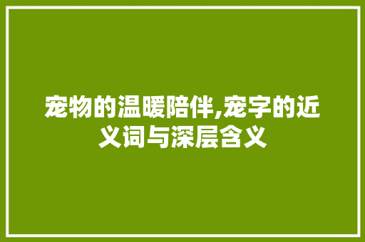 宠物的温暖陪伴,宠字的近义词与深层含义