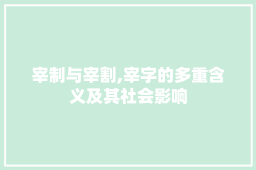 宰制与宰割,宰字的多重含义及其社会影响