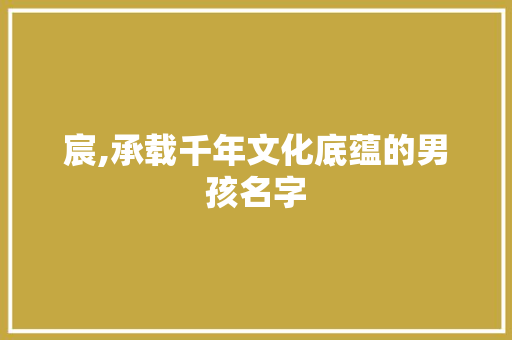 宸,承载千年文化底蕴的男孩名字