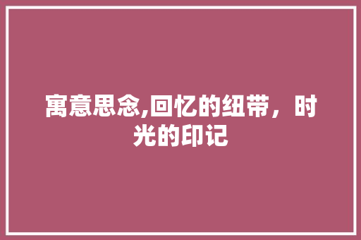 寓意思念,回忆的纽带，时光的印记