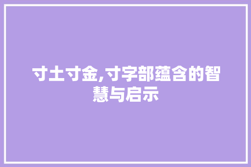 寸土寸金,寸字部蕴含的智慧与启示