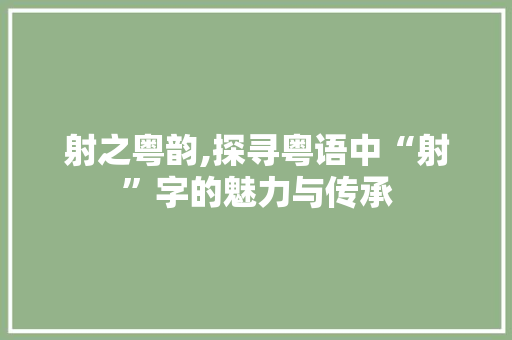 射之粤韵,探寻粤语中“射”字的魅力与传承