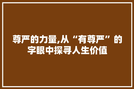 尊严的力量,从“有尊严”的字眼中探寻人生价值
