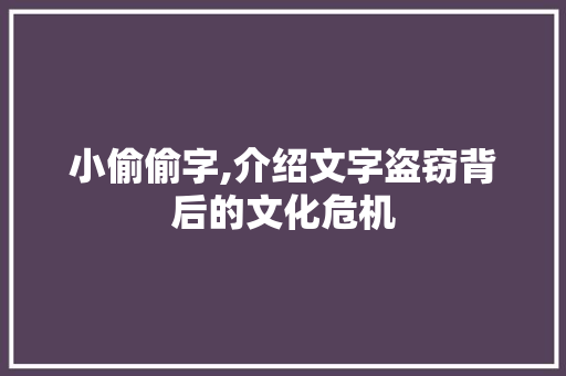 小偷偷字,介绍文字盗窃背后的文化危机