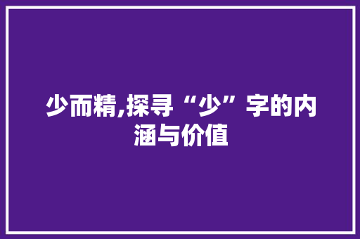 少而精,探寻“少”字的内涵与价值