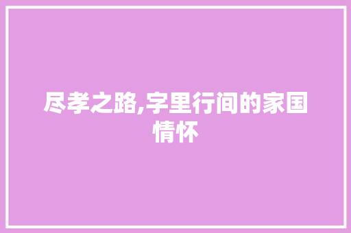 尽孝之路,字里行间的家国情怀