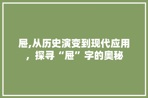 屉,从历史演变到现代应用，探寻“屉”字的奥秘