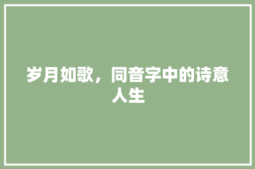 岁月如歌，同音字中的诗意人生