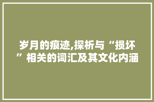 岁月的痕迹,探析与“损坏”相关的词汇及其文化内涵