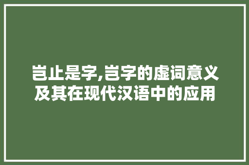 岂止是字,岂字的虚词意义及其在现代汉语中的应用