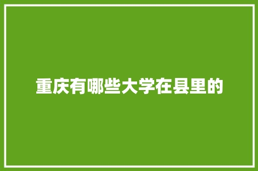 重庆有哪些大学在县里的