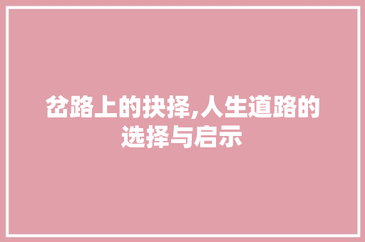 岔路上的抉择,人生道路的选择与启示