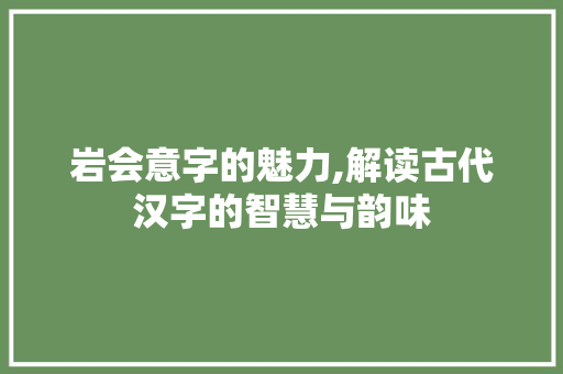 岩会意字的魅力,解读古代汉字的智慧与韵味