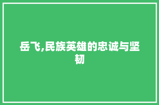 岳飞,民族英雄的忠诚与坚韧