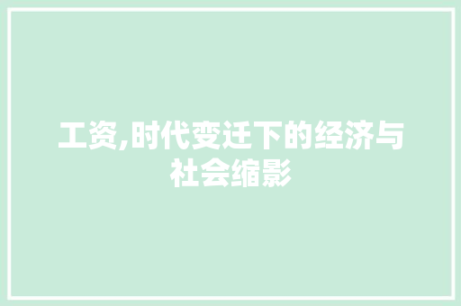 工资,时代变迁下的经济与社会缩影