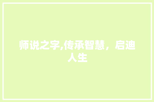 师说之字,传承智慧，启迪人生