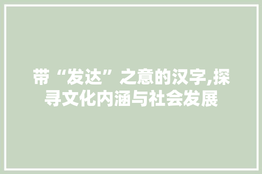 带“发达”之意的汉字,探寻文化内涵与社会发展