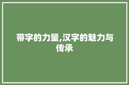 带字的力量,汉字的魅力与传承