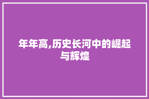 年年高,历史长河中的崛起与辉煌