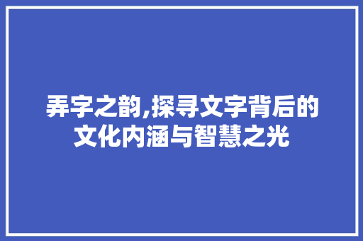 弄字之韵,探寻文字背后的文化内涵与智慧之光