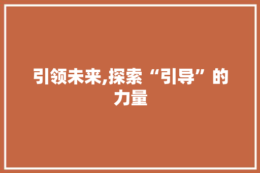 引领未来,探索“引导”的力量