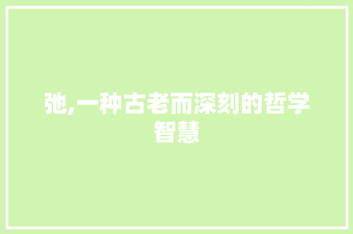 弛,一种古老而深刻的哲学智慧