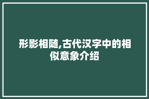 形影相随,古代汉字中的相似意象介绍