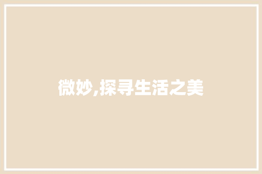 微妙,探寻生活之美