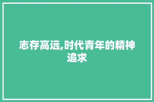 志存高远,时代青年的精神追求