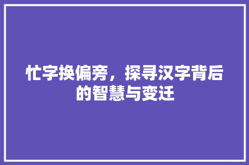 忙字换偏旁，探寻汉字背后的智慧与变迁