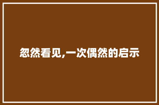 忽然看见,一次偶然的启示