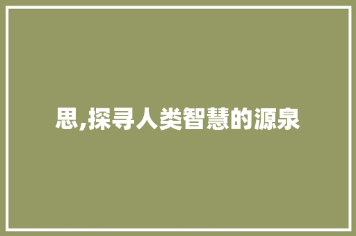 思,探寻人类智慧的源泉