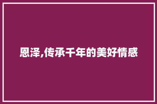 恩泽,传承千年的美好情感