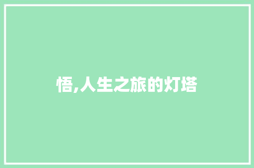 悟,人生之旅的灯塔