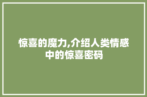 惊喜的魔力,介绍人类情感中的惊喜密码