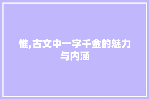 惟,古文中一字千金的魅力与内涵