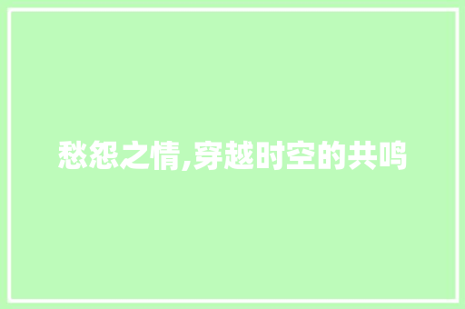 愁怨之情,穿越时空的共鸣