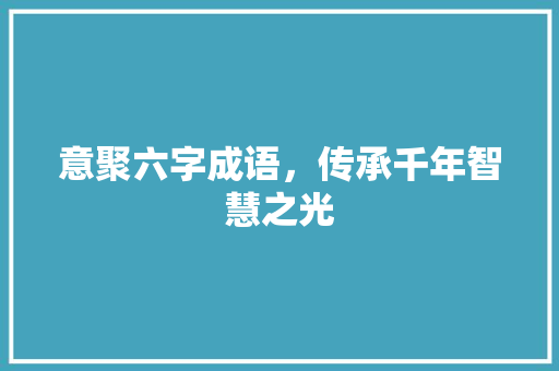 意聚六字成语，传承千年智慧之光