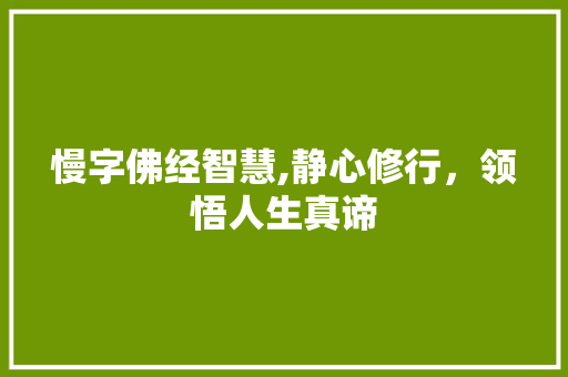 慢字佛经智慧,静心修行，领悟人生真谛