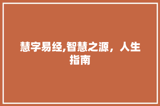 慧字易经,智慧之源，人生指南