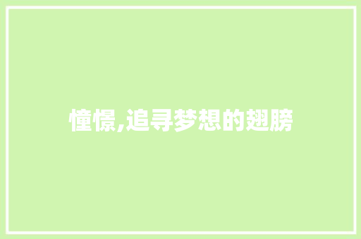 憧憬,追寻梦想的翅膀