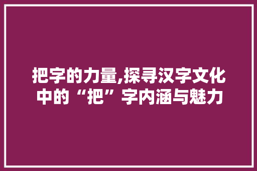 把字的力量,探寻汉字文化中的“把”字内涵与魅力