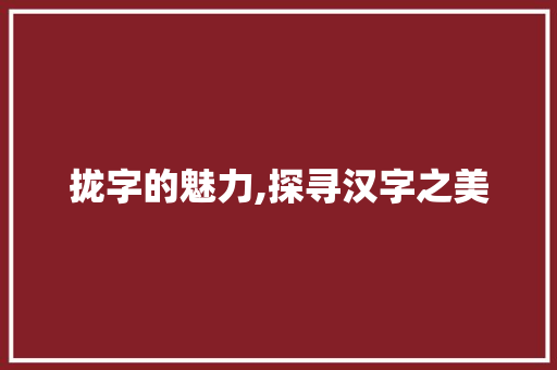拢字的魅力,探寻汉字之美