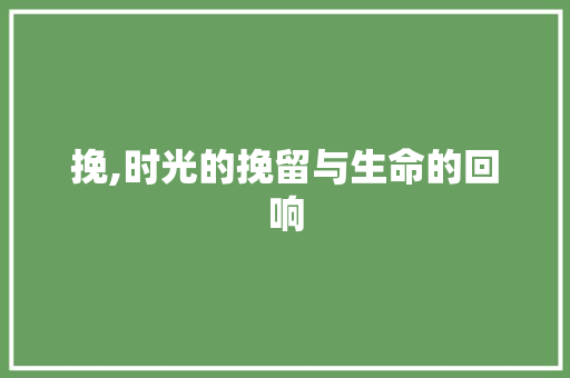 挽,时光的挽留与生命的回响