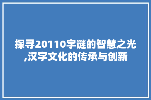 探寻20110字谜的智慧之光,汉字文化的传承与创新