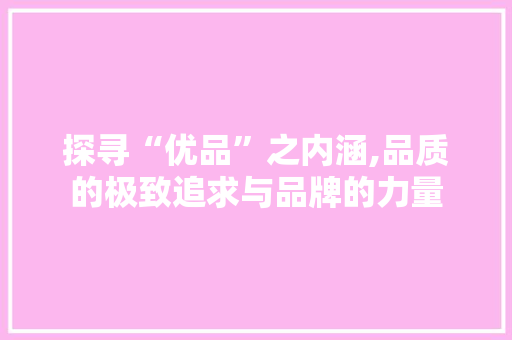 探寻“优品”之内涵,品质的极致追求与品牌的力量