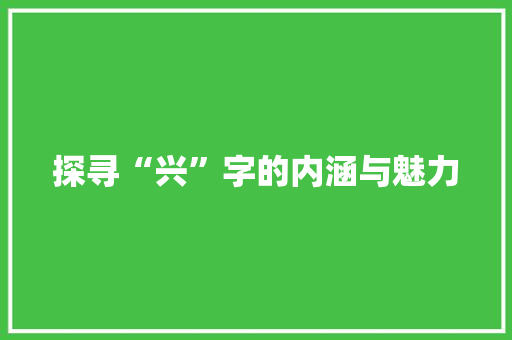 探寻“兴”字的内涵与魅力