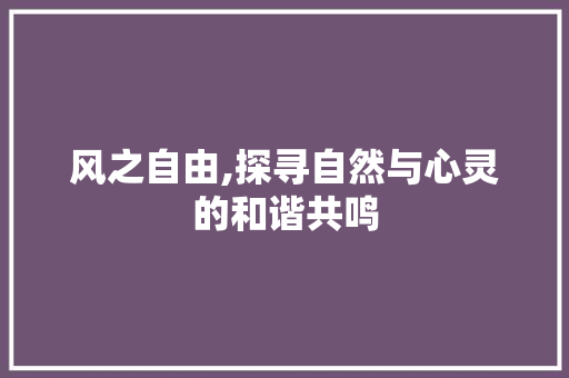 风之自由,探寻自然与心灵的和谐共鸣